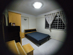 Blk 113 Depot Heights (Bukit Merah), HDB 5 Rooms #499855821